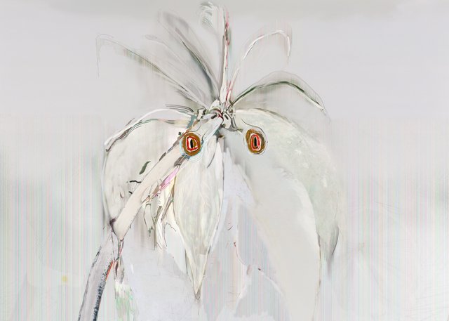 Alex Fischer, Parrots, 2011, 60×84″, matte giclee